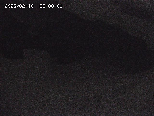 八河谷川１2026/02/11 3:30:00