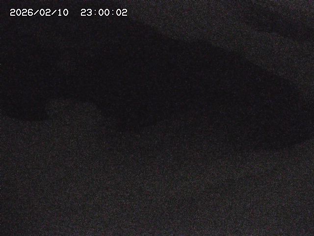 八河谷川１2026/02/11 3:30:00