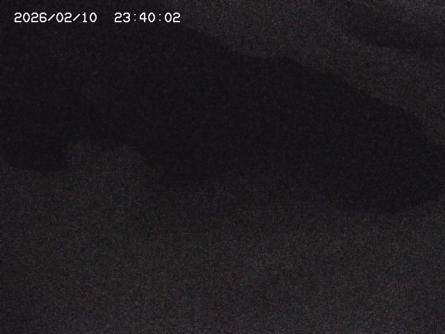 八河谷川１2026/02/11 3:30:00