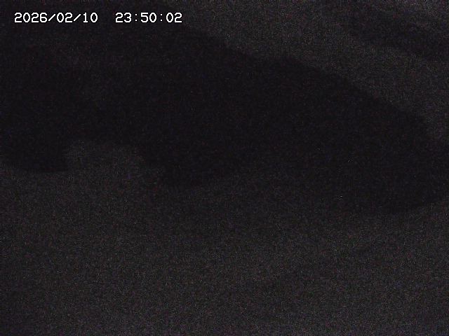 八河谷川１2026/02/11 3:30:00