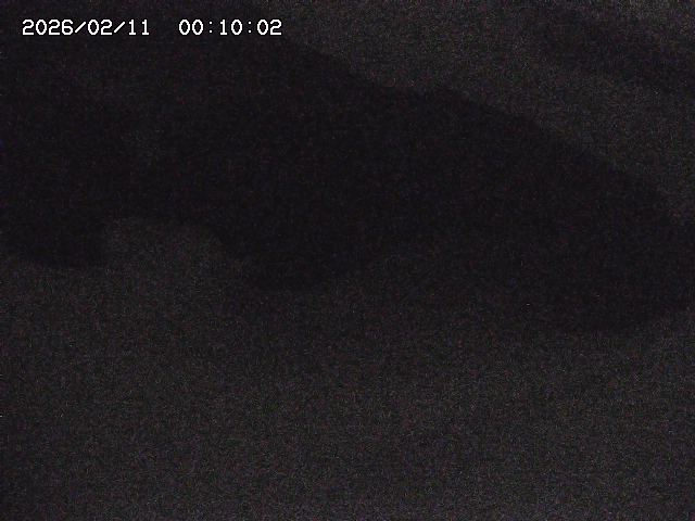 八河谷川１2026/02/11 3:30:00