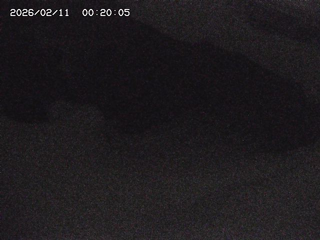 八河谷川１2026/02/11 3:30:00