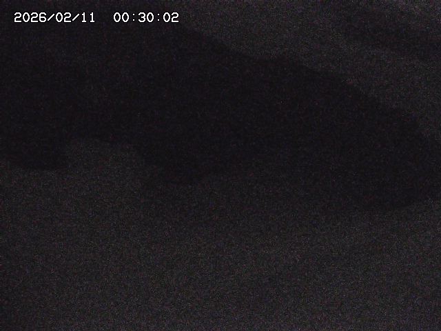 八河谷川１2026/02/11 3:30:00