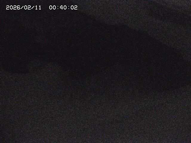 八河谷川１2026/02/11 3:30:00