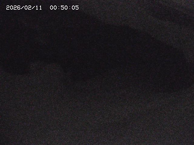 八河谷川１2026/02/11 3:30:00