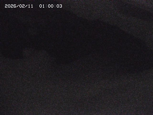 八河谷川１2026/02/11 3:30:00