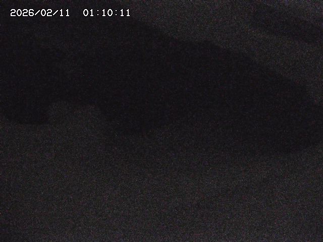 八河谷川１2026/02/11 3:30:00