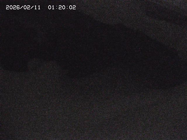 八河谷川１2026/02/11 3:30:00