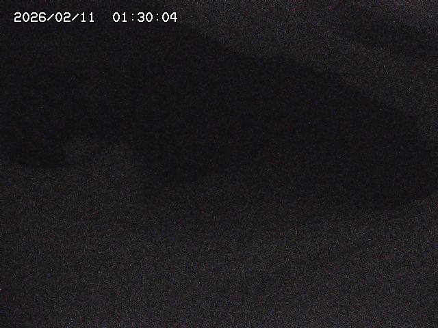 八河谷川１2026/02/11 3:30:00