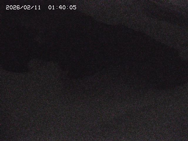 八河谷川１2026/02/11 3:30:00