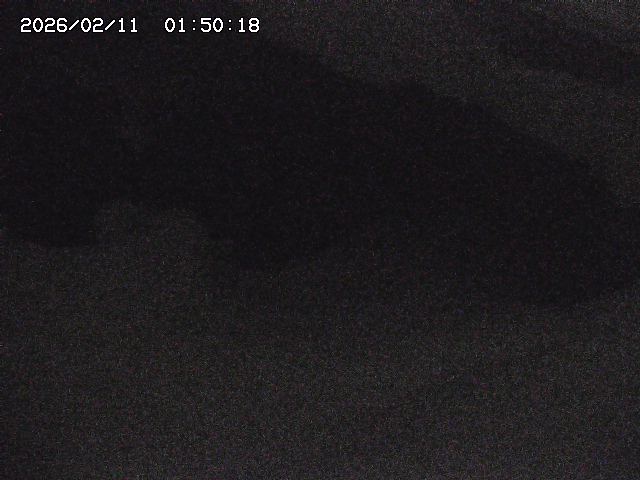 八河谷川１2026/02/11 3:30:00