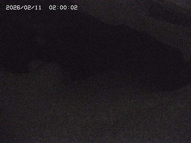 八河谷川１2026/02/11 3:30:00