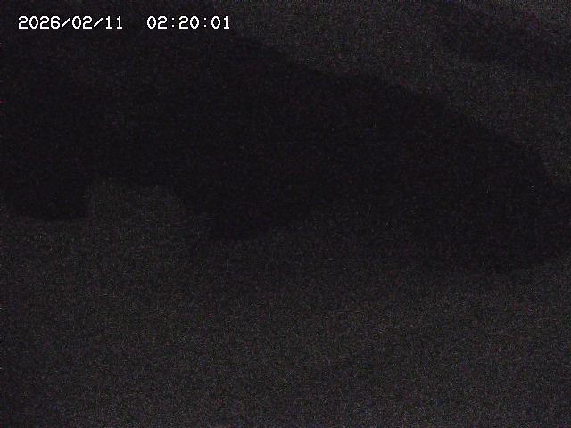 八河谷川１2026/02/11 3:30:00