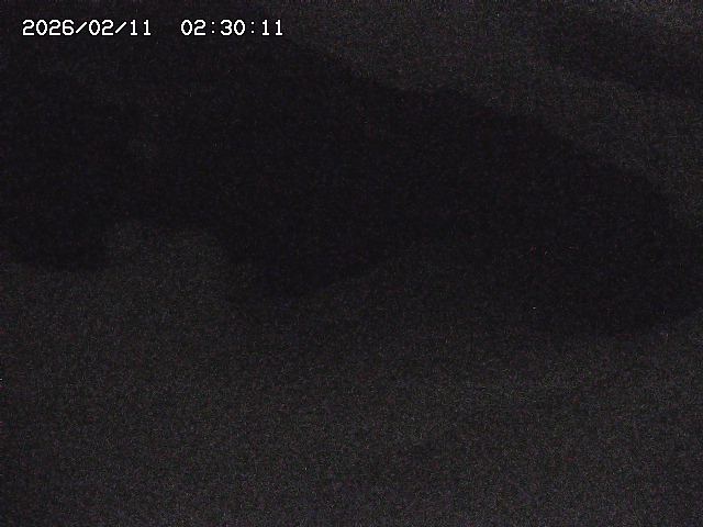 八河谷川１2026/02/11 3:30:00