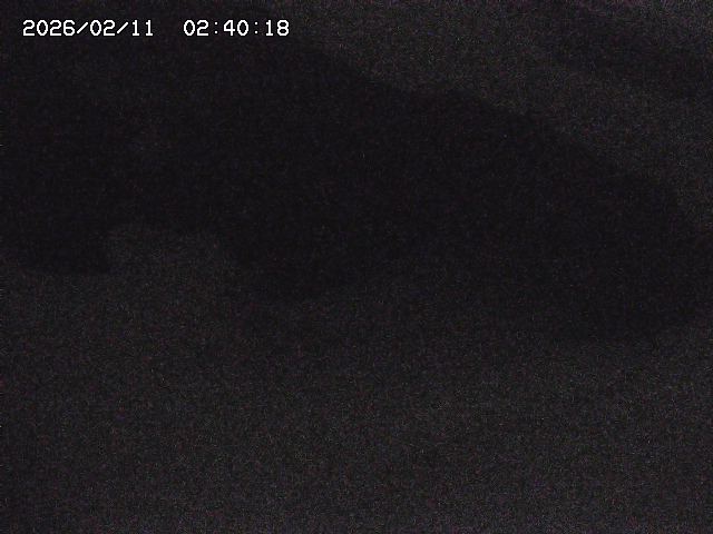 八河谷川１2026/02/11 3:30:00