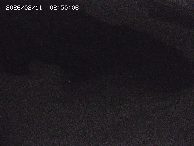 八河谷川１2026/02/11 3:30:00