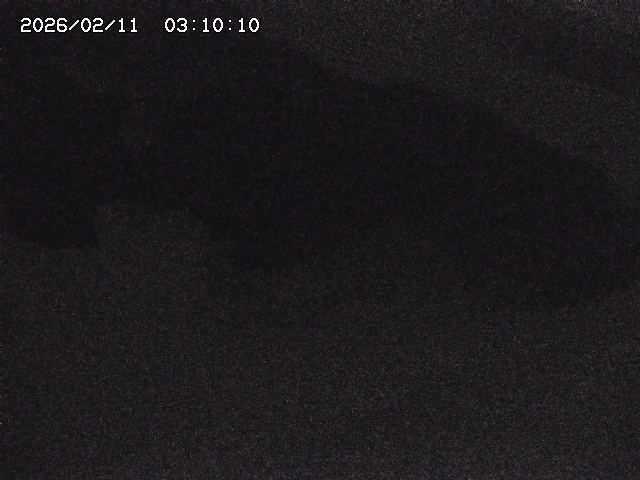 八河谷川１2026/02/11 3:30:00