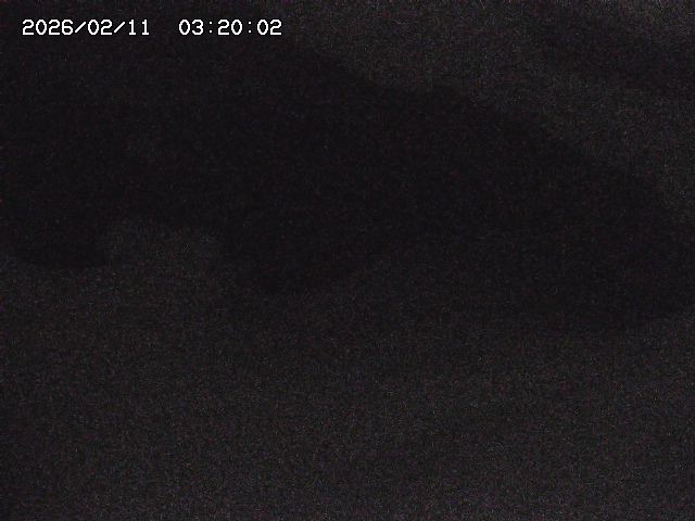 八河谷川１2026/02/11 3:30:00