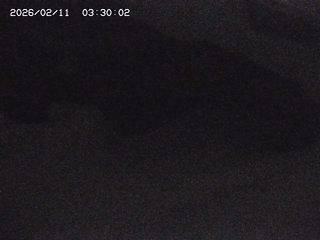 八河谷川１2026/02/11 3:30:00