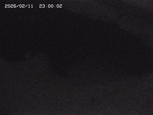 八河谷川１2026/02/12 18:50:00