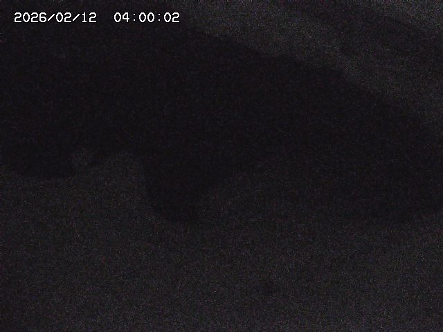 八河谷川１2026/02/12 18:50:00