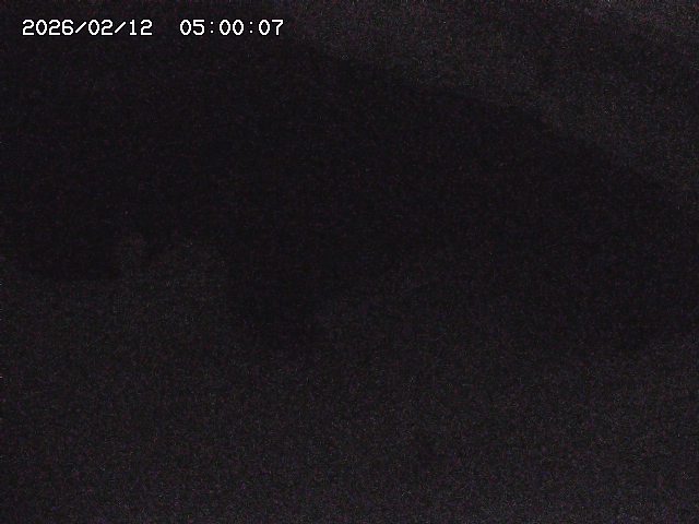 八河谷川１2026/02/12 18:50:00