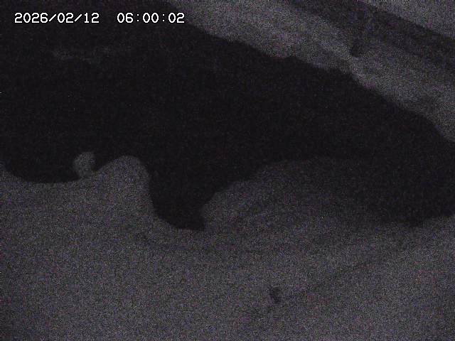 八河谷川１2026/02/12 18:50:00