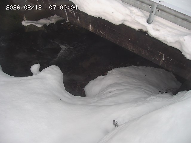 八河谷川１2026/02/12 18:50:00