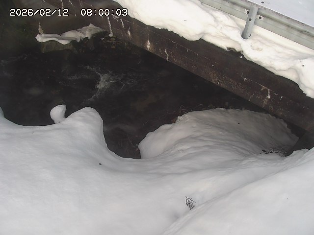 八河谷川１2026/02/12 18:50:00