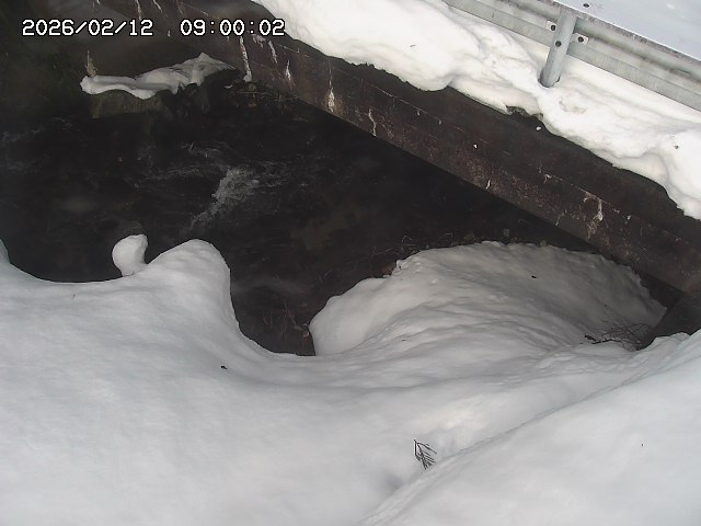 八河谷川１2026/02/12 18:50:00