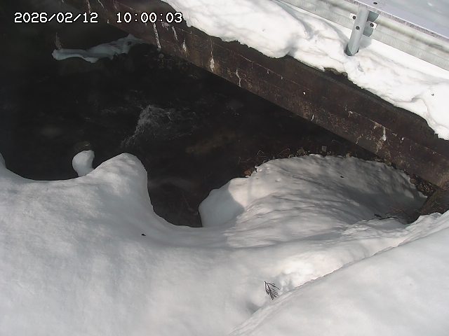 八河谷川１2026/02/12 18:50:00