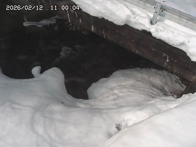 八河谷川１2026/02/12 18:50:00