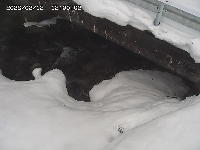 八河谷川１2026/02/12 18:50:00