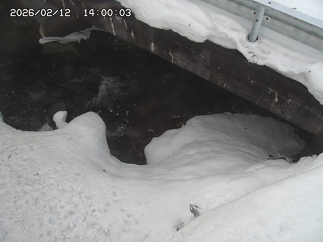 八河谷川１2026/02/12 18:50:00