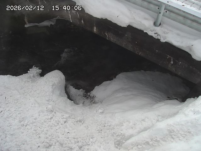八河谷川１2026/02/12 18:50:00