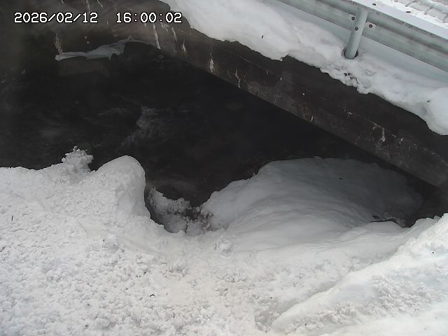 八河谷川１2026/02/12 18:50:00
