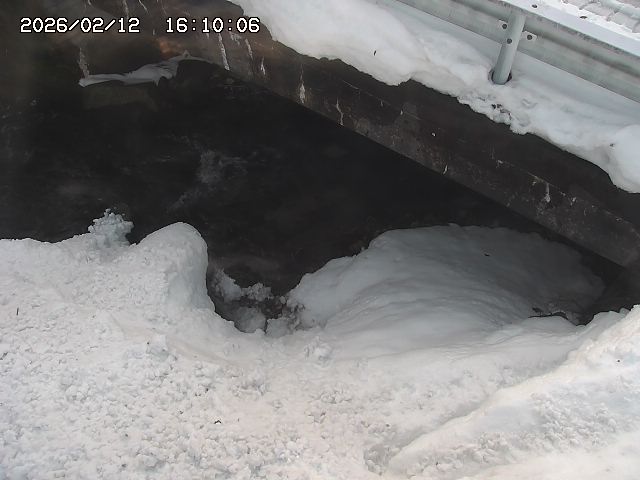 八河谷川１2026/02/12 18:50:00