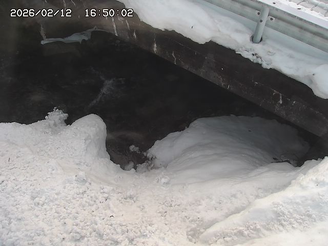 八河谷川１2026/02/12 18:50:00