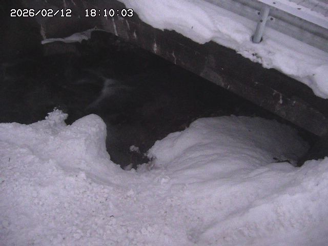 八河谷川１2026/02/12 18:50:00