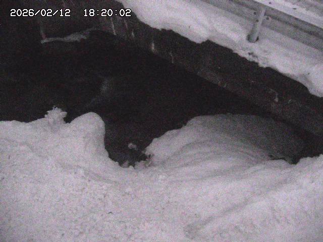 八河谷川１2026/02/12 18:50:00