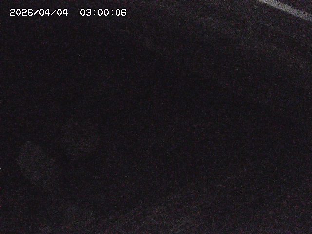 八河谷川１2026/04/05 3:30:00