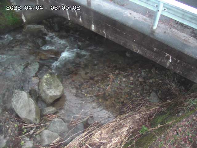 八河谷川１2026/04/05 3:30:00