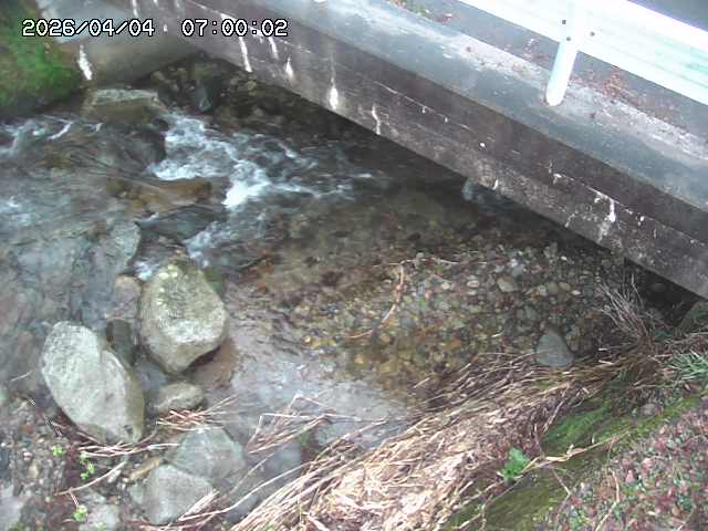 八河谷川１2026/04/05 3:30:00