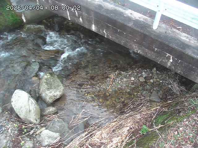 八河谷川１2026/04/05 3:30:00