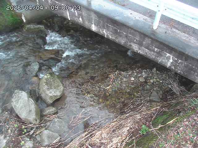 八河谷川１2026/04/05 3:30:00