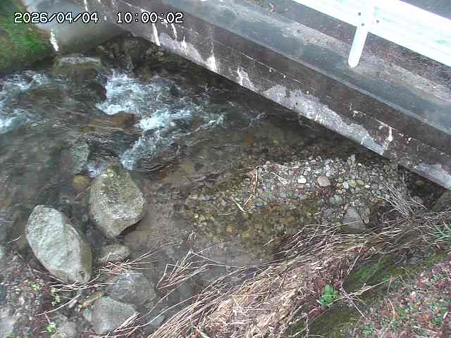 八河谷川１2026/04/05 3:30:00
