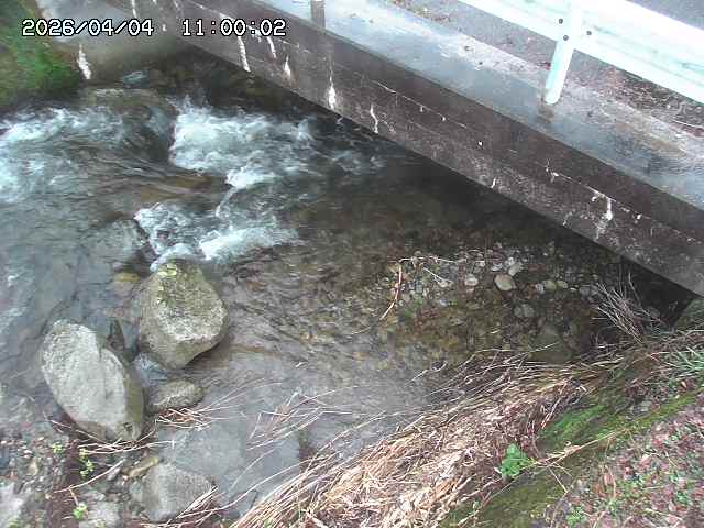 八河谷川１2026/04/05 3:30:00