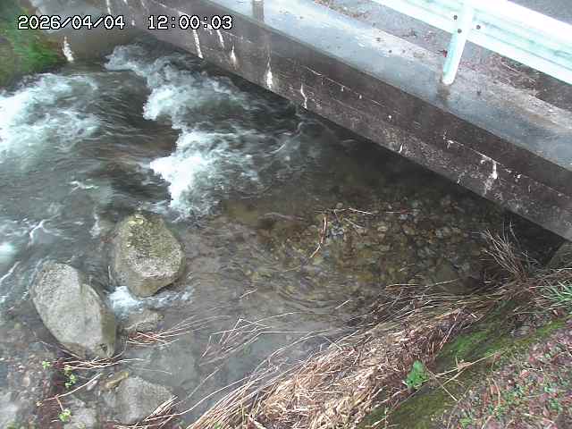 八河谷川１2026/04/05 3:30:00