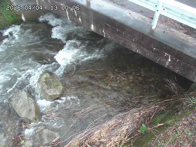 八河谷川１2026/04/05 3:30:00