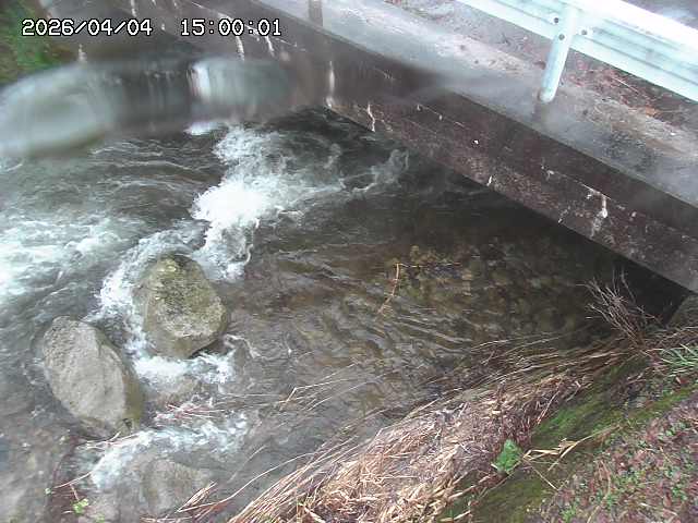 八河谷川１2026/04/05 3:30:00